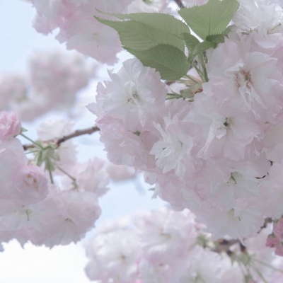 永福FurryQQ群介绍
